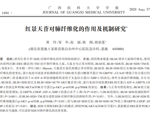 紅景天苷對肺纖維化的作用及機(jī)制研究